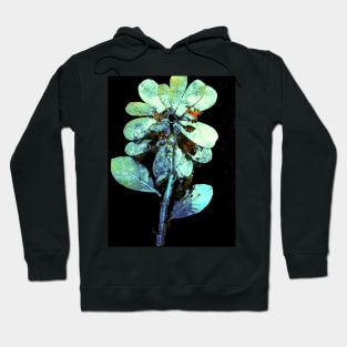 Garden Monoprint Hoodie